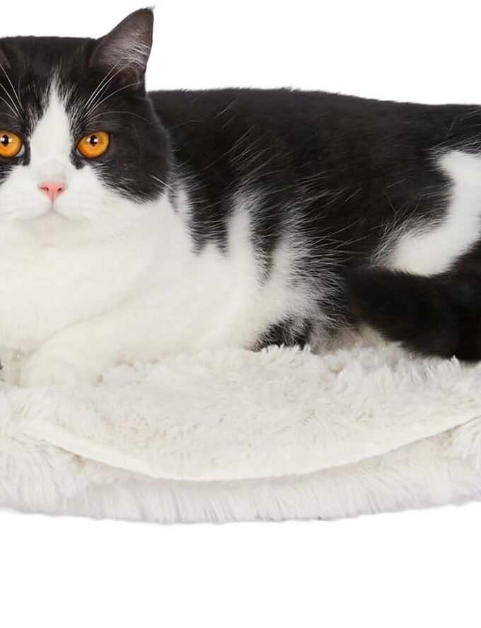 Elevated Pet Bed, Cat Dog Stool Bed with Sturdy Wood Legs Pet Chair, Plush Pet Bed, Round Warm Cuddler Kennel Soft Puppy Sofa for Small Dog Kitten,Relief and Improved Sleep-White