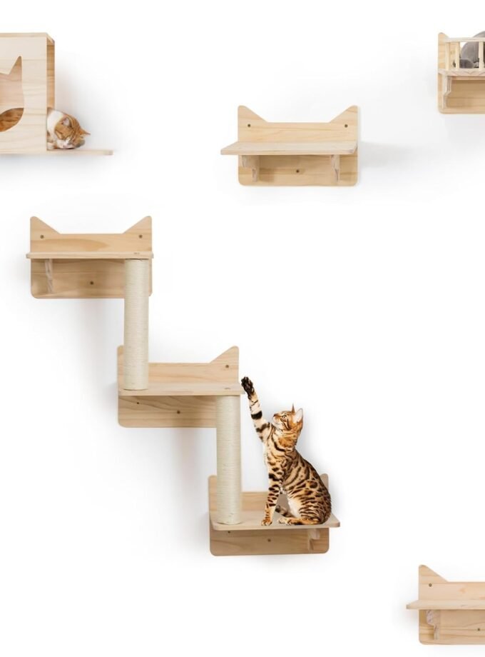 Pine Cat Wall Frame for Climbing, Set of 5 Furniture, Shelves and Perches, House, Sisal Post Ladder, Steps and Travel Platform