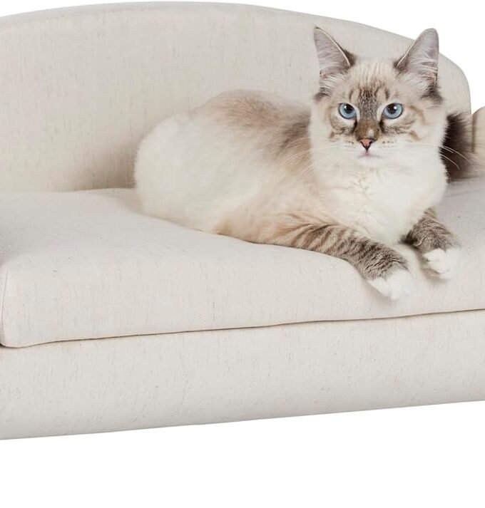 Modern Pet Sofa 31.5" Wide Low Back Lounging Bed with Removable Mattress Cover in Espresso/Oatmeal