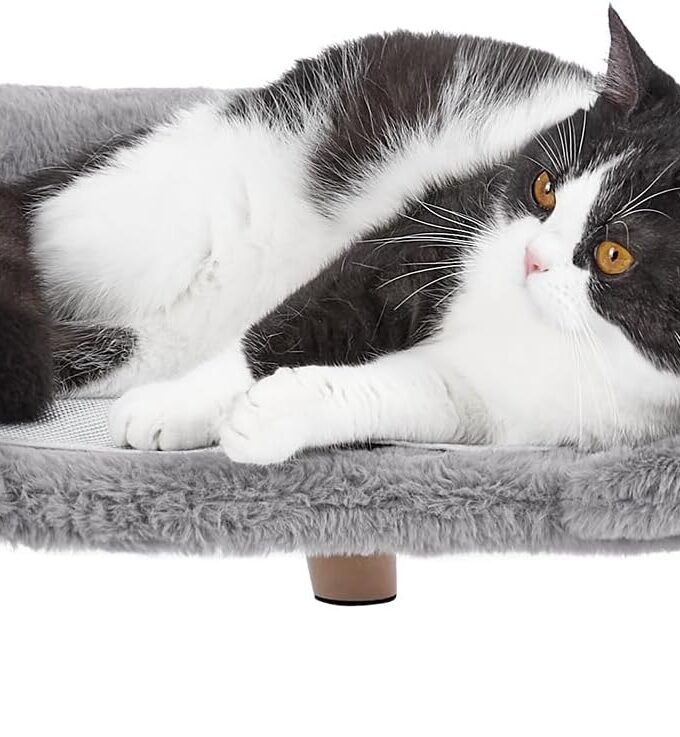 Elevated Pet Bed,Cat Dog Stool Bed with Sturdy Wood Legs Pet Chair, Plush Pet Bed, Round Warm Kennel Soft Puppy Sofa for Small Dog Kitten,Relief and Improved Sleep (Light Gray, Medium)