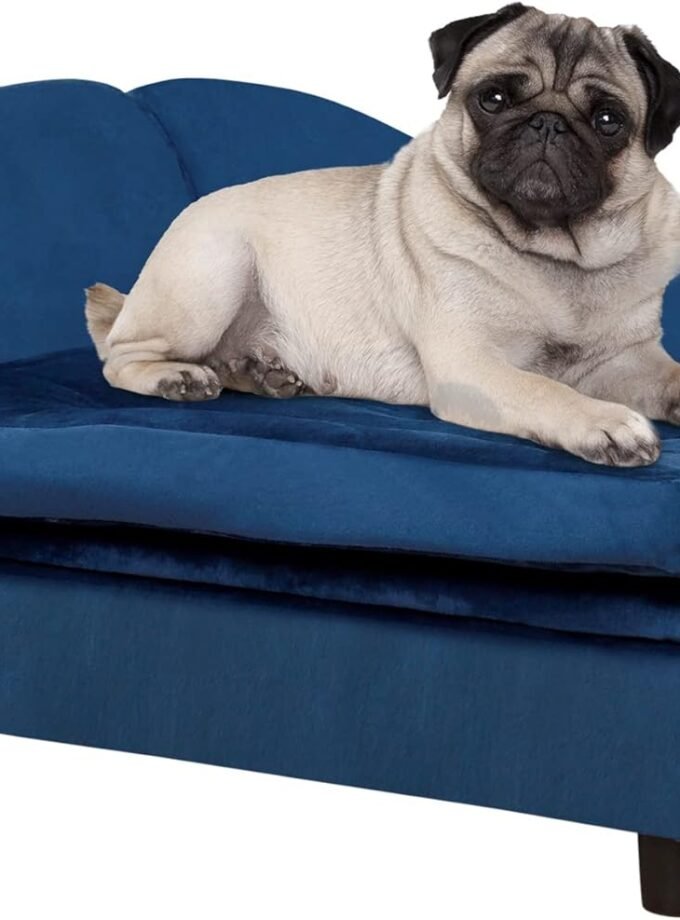 Fancy Dog Bed for Small Dogs with Hidden Storage, Small Dog Couch with Soft 3" Foam, Dog Sofa Bed, Cushy Dog Bed, Modern Pet Furniture for Puppies and Little Breeds, Blue
