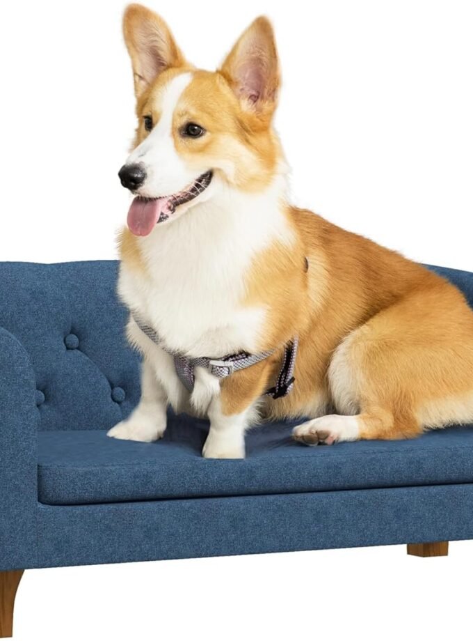 Raised Dog Sofa, Elevated Pet Couch for Small and Medium Dogs, with Removable Soft Cushion, Anti-Slip Pads, Simple Installation, Blue