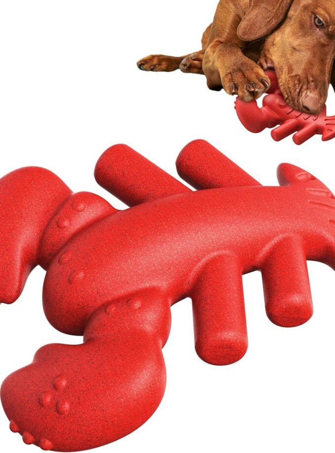 Dog Chew Toys for Aggressive-Chewers - Indestructible Dog Toy for Aggressive Chewer，Tough Chew Toys for Dogs （Nylon Red-Lobster）