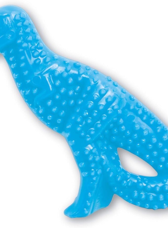 Dental Dinosaur Puppy Chew Toy - Puppy Chew Toy for Teething - Puppy Supplies - Chicken Flavor, Small/Regular (1 Count)