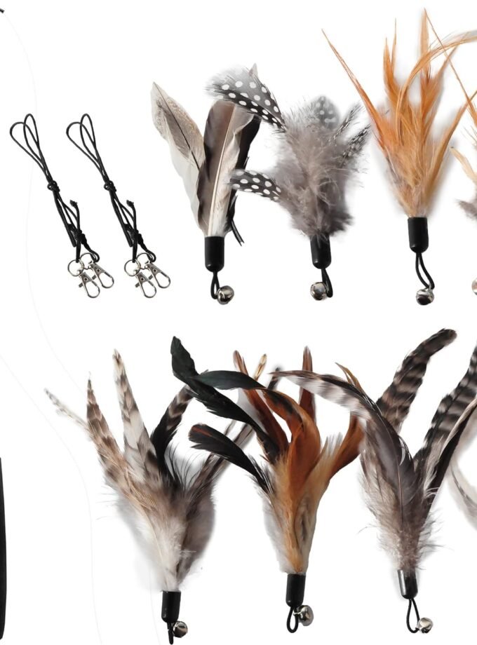 Cat Toys - No Chemical Dyeing Cat Feather Toys for Indoor Cats - Include Cat Wand and Natural Feather Refills