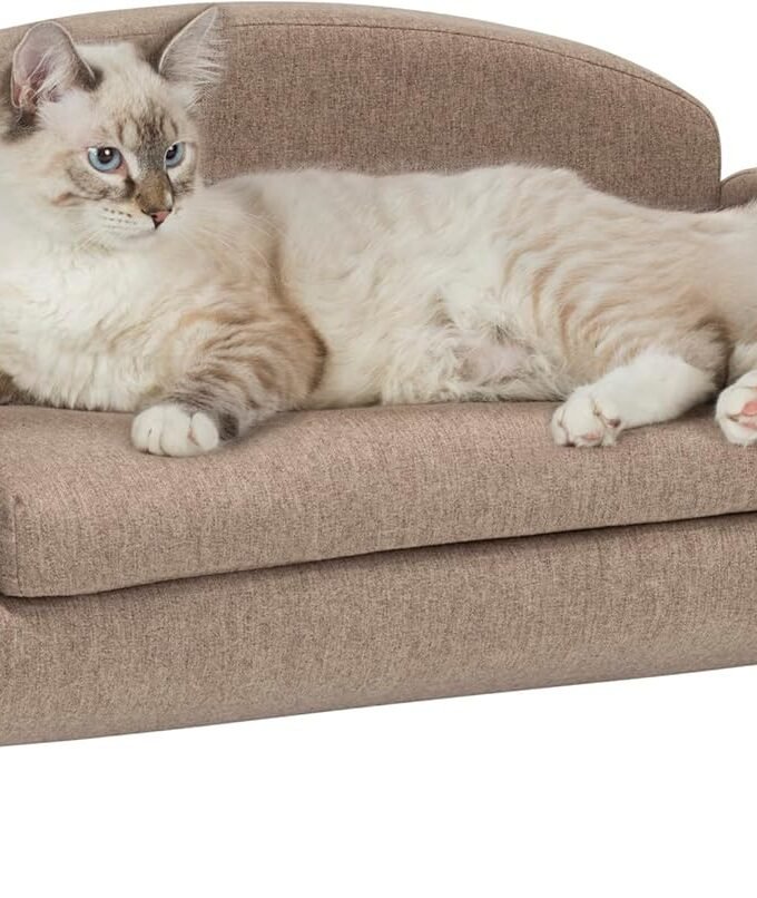 Modern Pet Sofa 31.5" Wide Low Back Lounging Bed with Removable Mattress Cover in Espresso/Sand