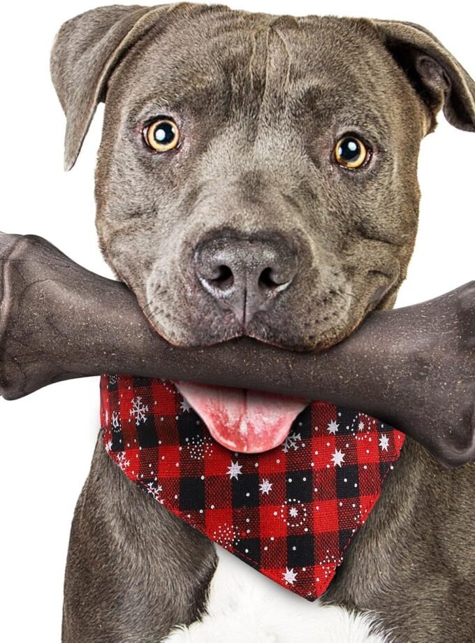 Dog Toys for Aggressive Chewers, Indestructible Dog Bones for Aggressive Chewers, Tough Dog Chew Toy for Heavy Duty Dogs, Big Dog Teething Toys with Durable Nylon for Large/Medium Breed Puppies…